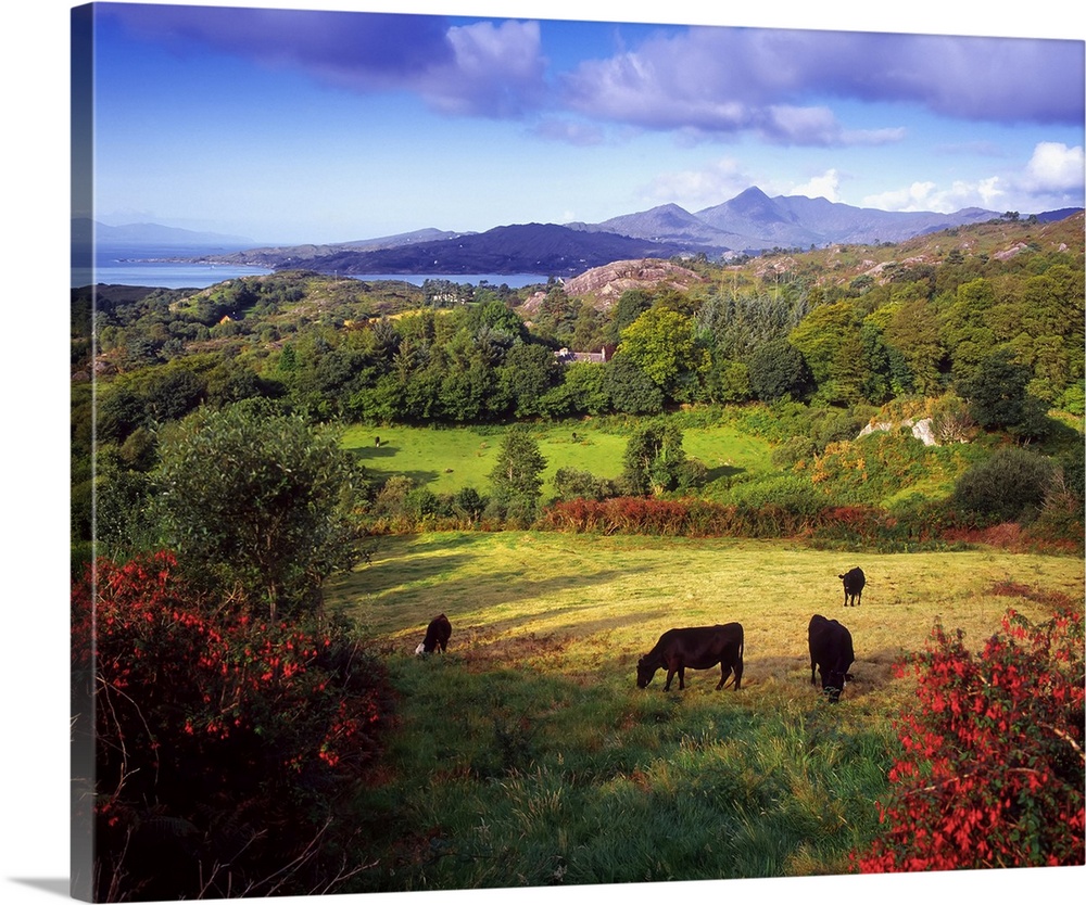 Glengarriff, Beara Peninsula, County Cork, Ireland
