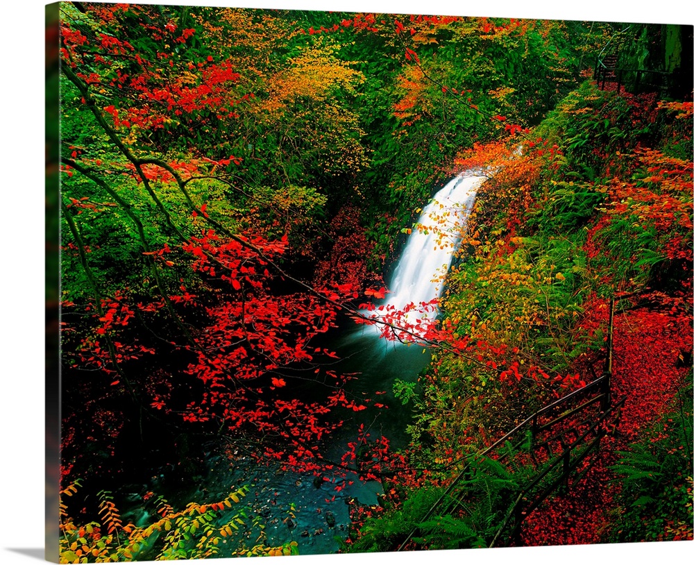 Glenoe Waterfall And Glen, County Antrim, Ireland