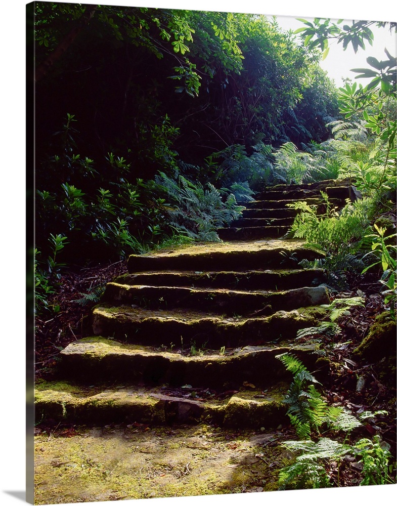 Glenveagh Castle, Co Donegal, Ireland; Moss Covered Staircase