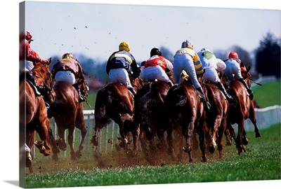 Horse Racing, Rear View Of Horses Racing