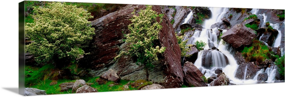 Inchquinn Waterfall, Beara Peninsula, County Kerry, Ireland