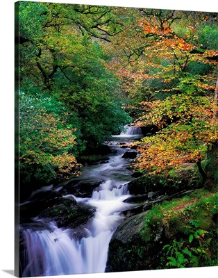 Killarney National Park, Ring Of Kerry, County Kerry, Ireland