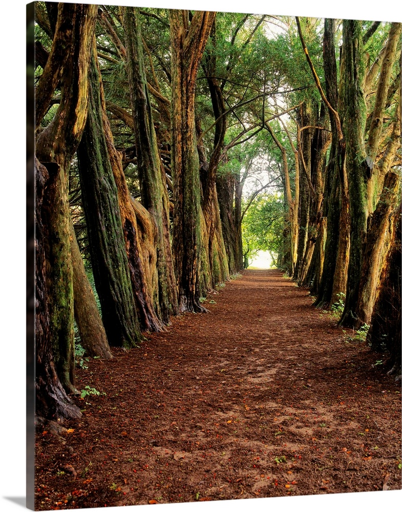 Lismore, County Waterford, Ireland, Castle's Pleasure Ground