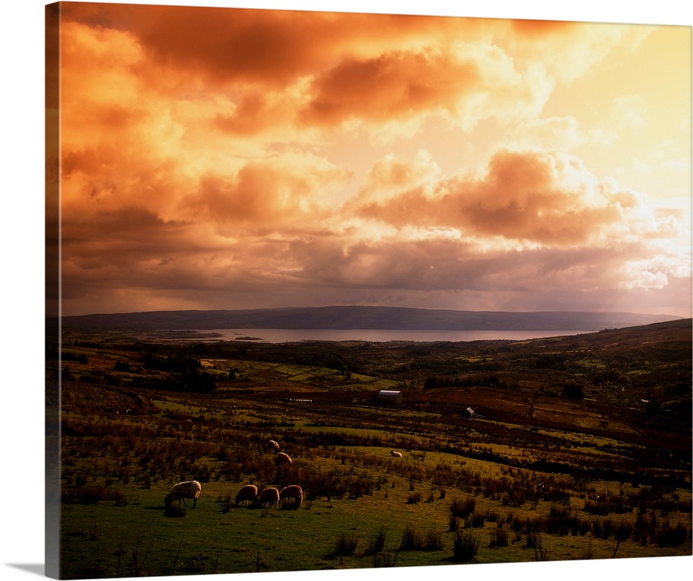 Lough Allen, county Leitrim, Ireland, from the iron mountains.