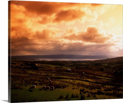 Lough Allen, County Leitrim, Ireland, From The Iron Mountains