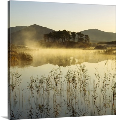 Mist Rising Off A Lake, Dublin City, Dublin, Ireland