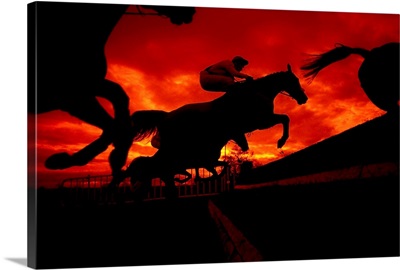 National Hunt, Ireland