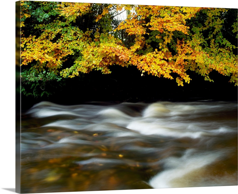 River Camcor, Co Offaly, Ireland