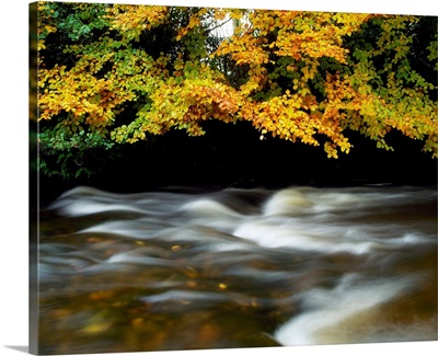 River Camcor, Co Offaly, Ireland