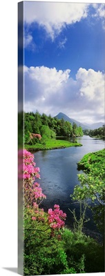River Leading To A Mountain, Ballinahinch, Connemara, Republic Of Ireland image thumbnail