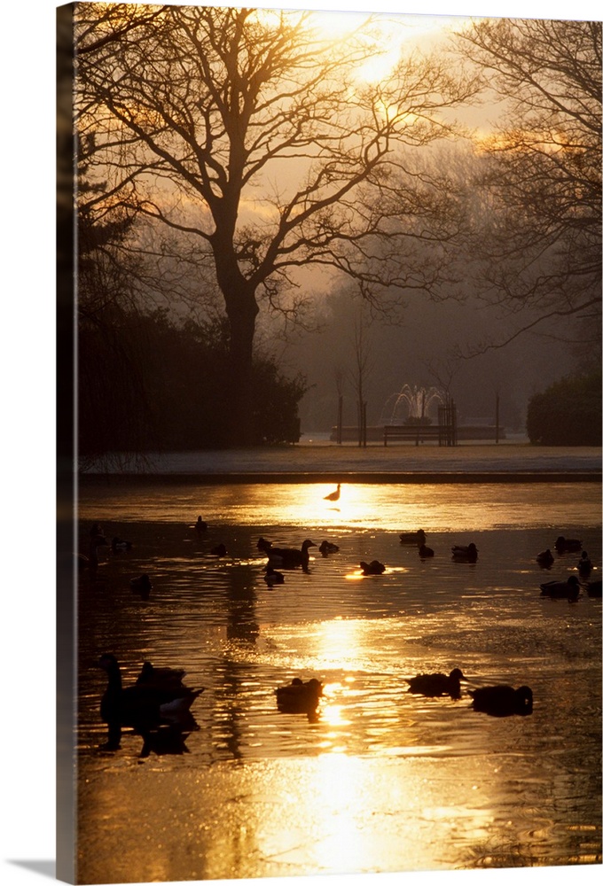 Saint Stephen's Green, Dublin, Co Dublin, Ireland, Georgian Terraced Houses