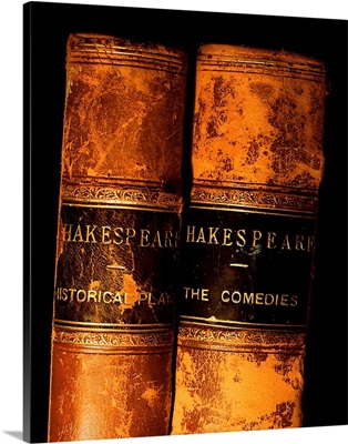 Shakespeare Leather Bound Books