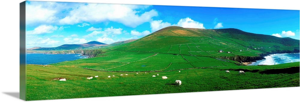 Slea Head, Dingle Peninsula, Co Kerry, Ireland