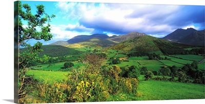 Slieve Bearnagh, Mourne Mountains, Co Down, Ireland