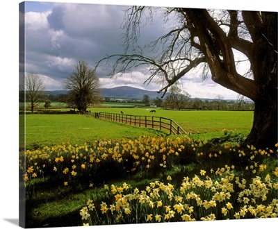 Slievenamon, Ardsallagh, Co Tipperary, Ireland
