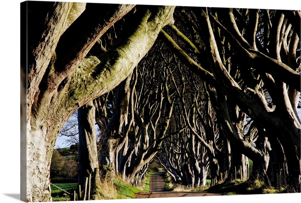 Stranocum, County Antrim, Ireland