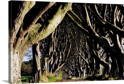 Stranocum, County Antrim, Ireland