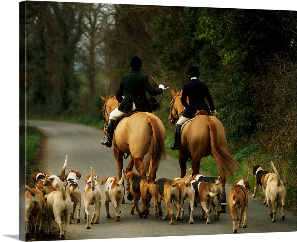 The Bray Harriers, County Wicklow, Ireland