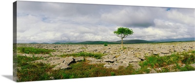 The Burren, Co. Clare, Ireland, Karst-Landscape Region Near Kinvara