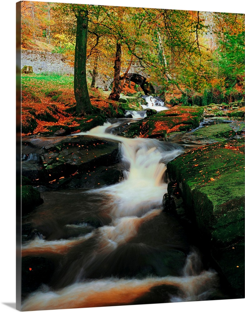 Waterfalll Near Sally Gap, County Wicklow, Ireland