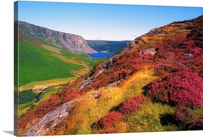 Wicklow Way, County Wicklow, Ireland, Long Distance Walking Trail Near Luggala