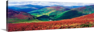 Wicklow Way, County Wicklow, Ireland, Long Distance Walking Trail Near Luggala