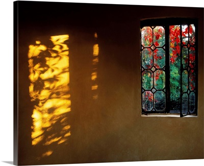 Window With Creeper, Butterstream, Co Meath, Ireland