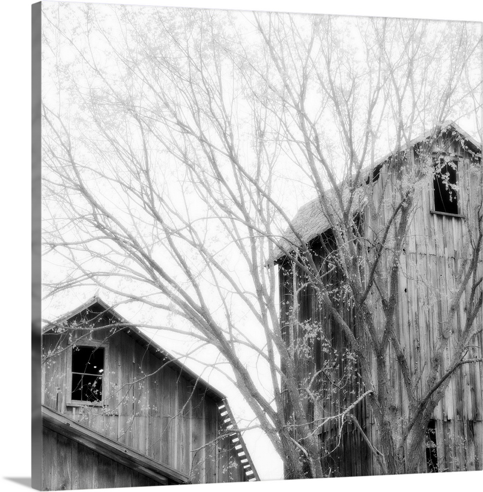 A black and white image of old, weathered barns with blurred clouded sky.