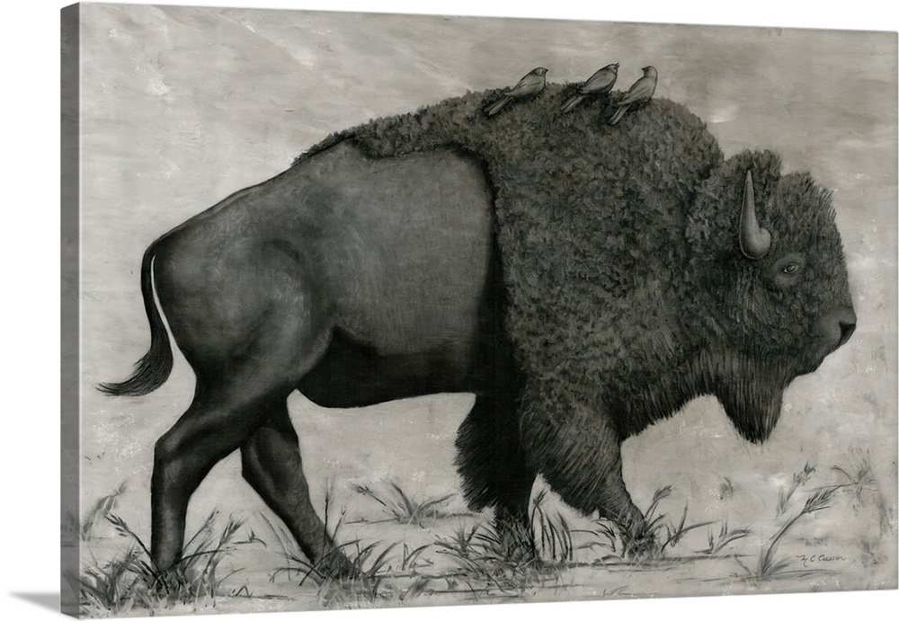 Basking Buffalo