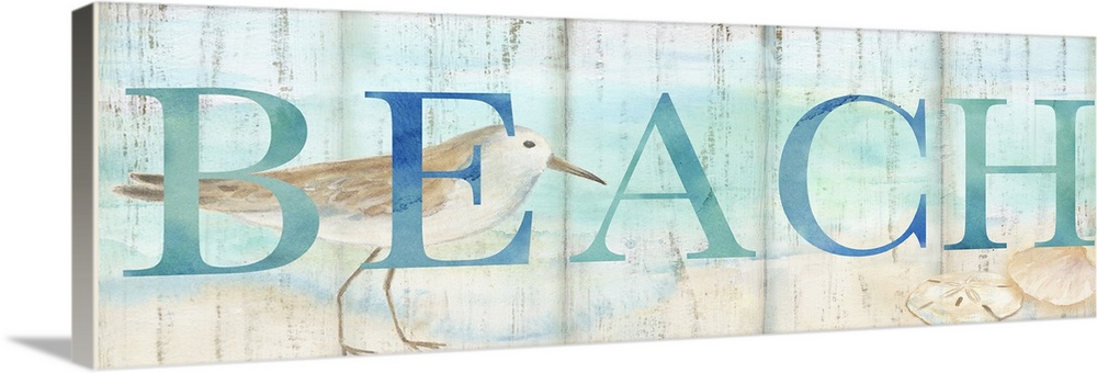 "Beach" in blue over a watercolor image of a shorebird on a beach with a wood plank appearance.
