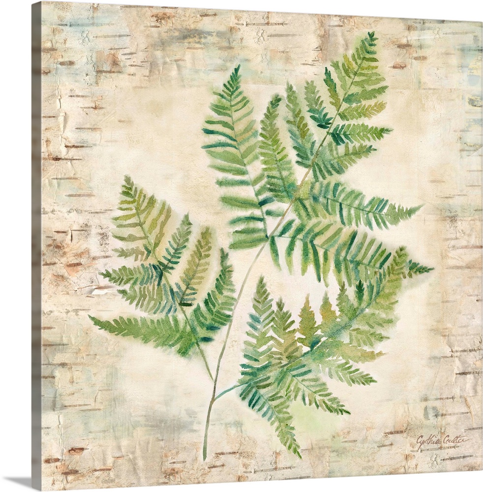 Decorative artwork of a fern leaf against a wood bark texture with a brown border.