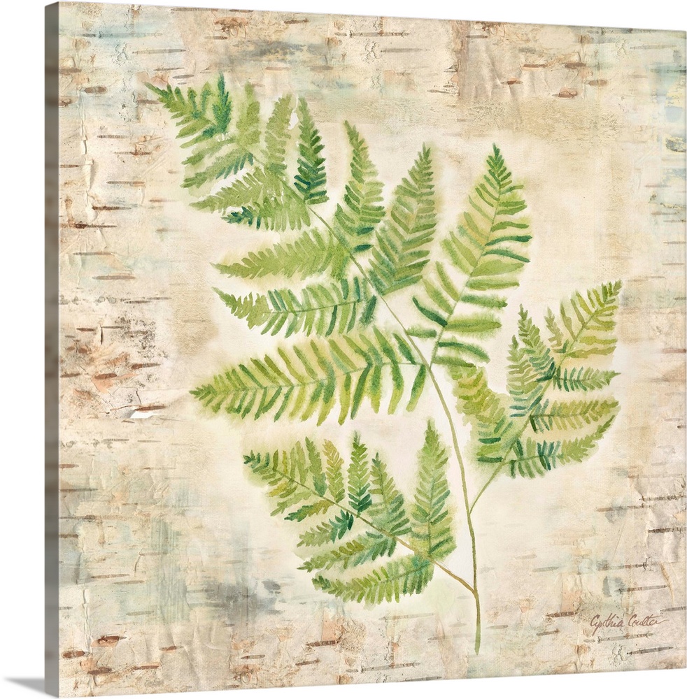 Decorative artwork of a fern leaf against a wood bark texture with a brown border.