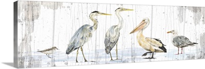 Birds of the Coast Rustic Panel