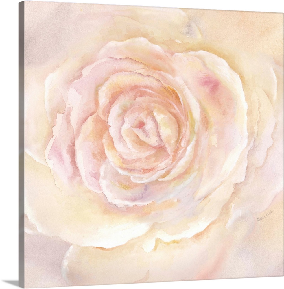 Square painting of a close up image of a blush colored rose.