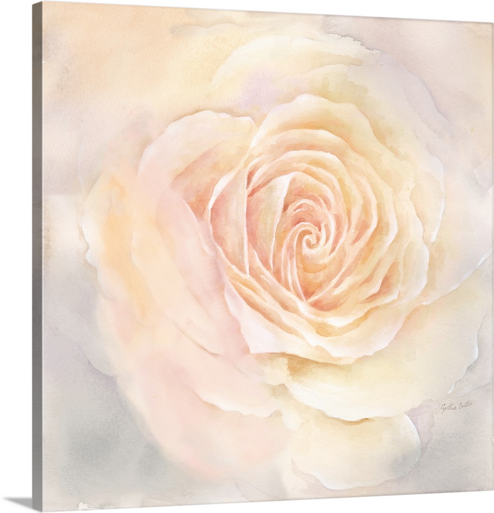 Square painting of a close up image of a blush colored rose.