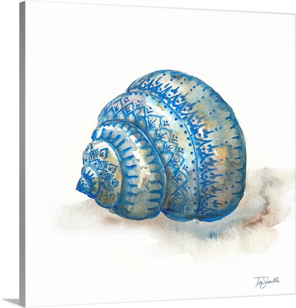 Square artistic painting of a shell in shades of blue and brown on a white background.