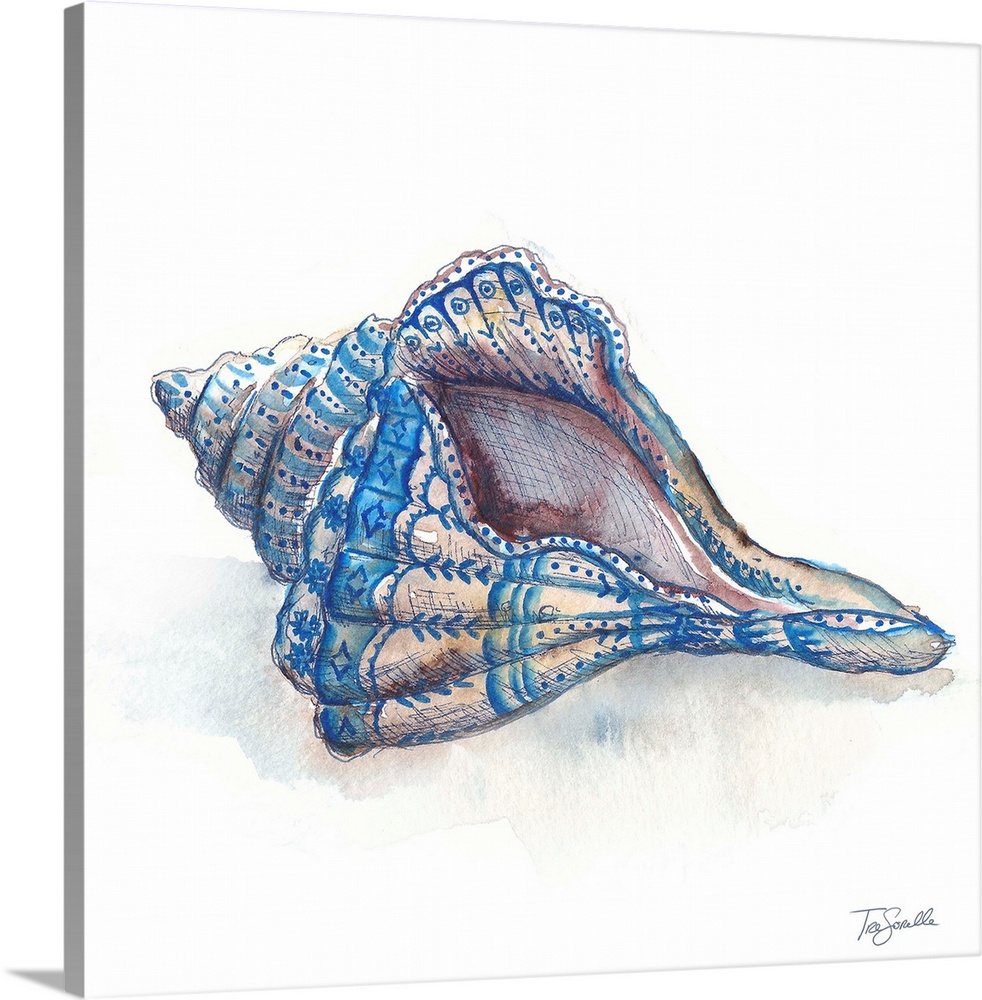 Square artistic painting of a shell in shades of blue and brown on a white background.