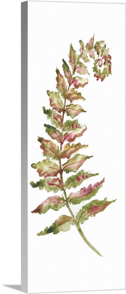 A vertical watercolor design of a single fern leaf in shades of red and green.