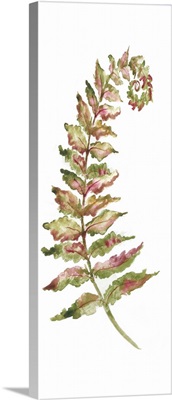 Botanical Fern Single II