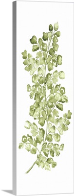 Botanical Fern Single IV