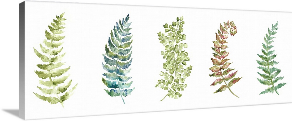 A horizontal watercolor design of a row of fern leaves in shades of green.