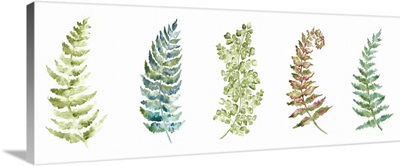 Botanical Ferns Panel