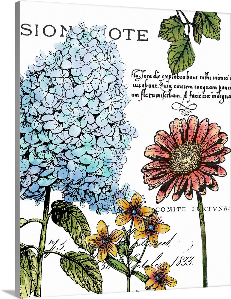 A decorative botanical design of varies colorful flowers with a vintage postcard feel.