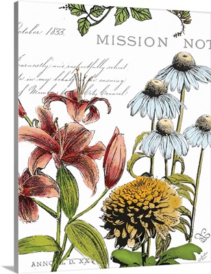Botanical Postcard Color II
