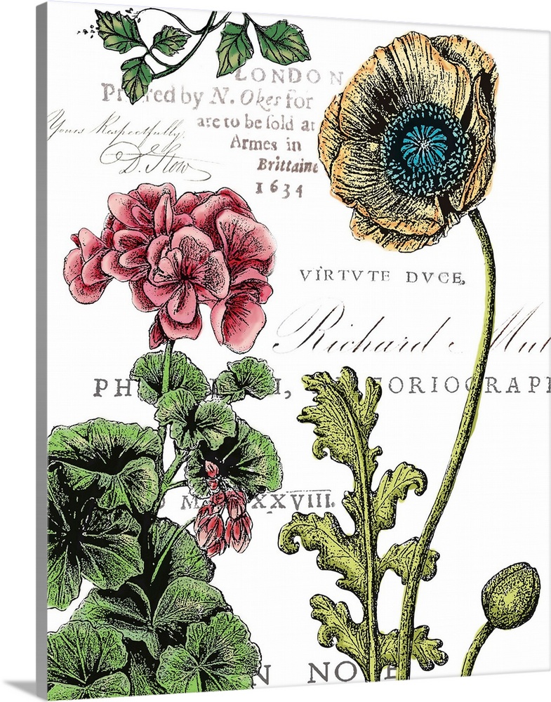 A decorative botanical design of varies colorful flowers with a vintage postcard feel.