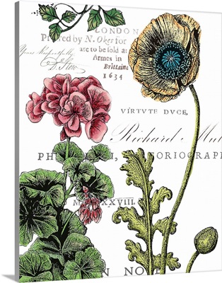Botanical Postcard Color III