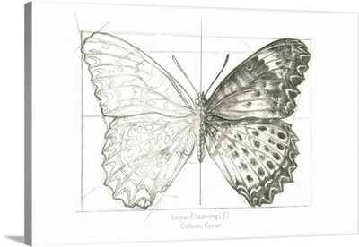 Butterfly Sketch Landscape II