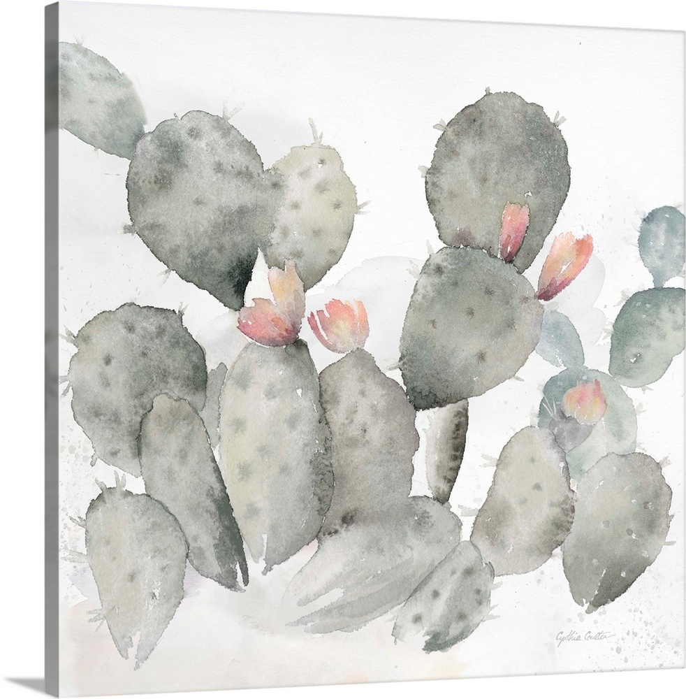 A square decorative watercolor painting of a group of cactus in a garden.