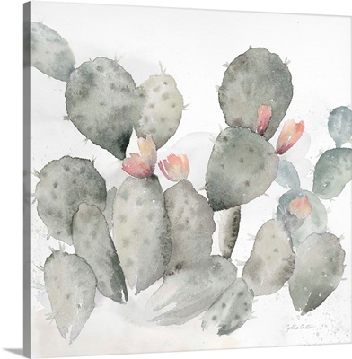 Cactus Garden Gray Blush I