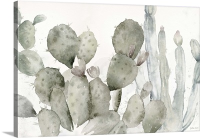 Cactus Garden Landscape Black/White